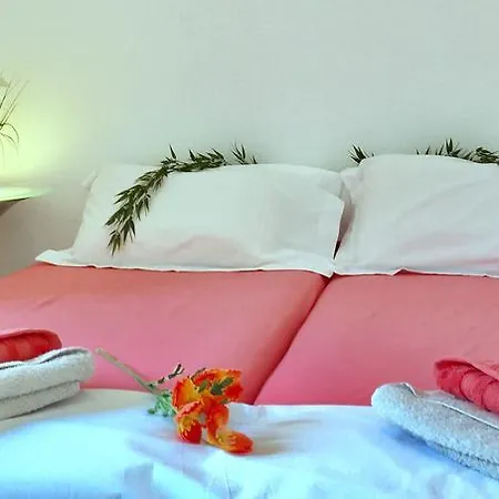 Apartment Appartements Cannes Cannes